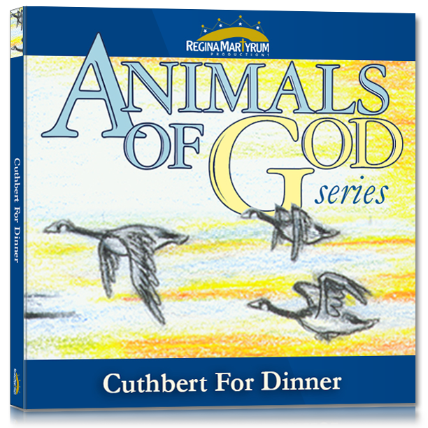 32 STORIES VALUE BUNDLE • $561.40 Super Discount Bundle!